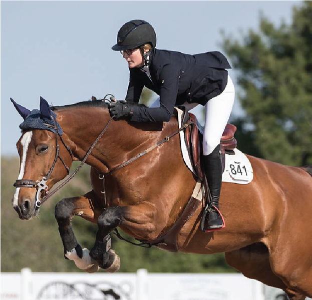 Picture for category Equestrian/Rodeo